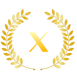 X (Twitter)