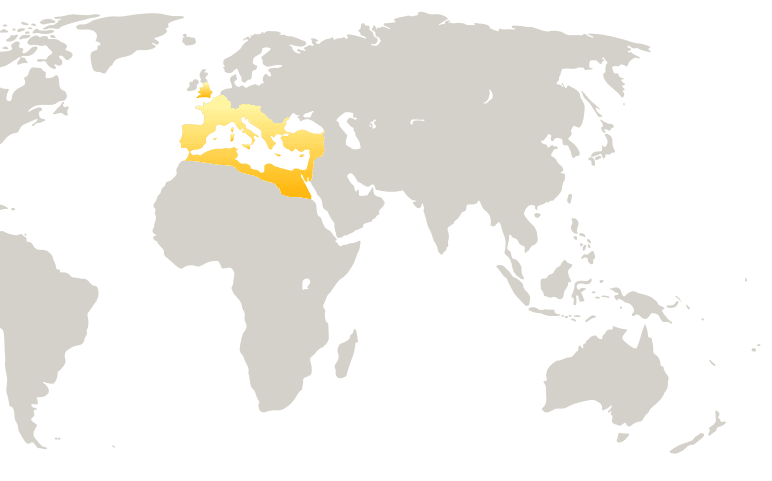 World